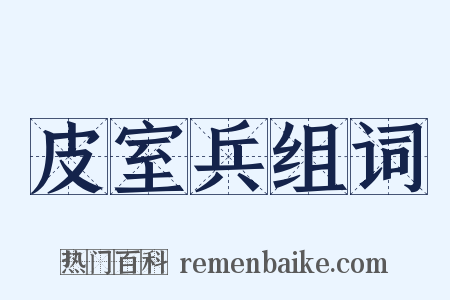 皮室兵组词是什么意思的图片